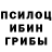 Псилоцибиновые грибы GOLDEN TEACHER Kairat Elekeev