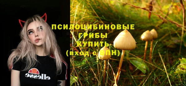 спиды Балахна